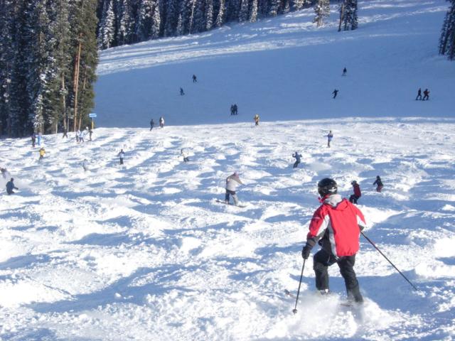 DSCN1650.jpg